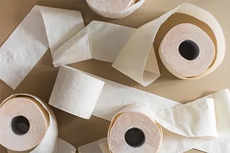 How Big Is a Toilet Paper Roll