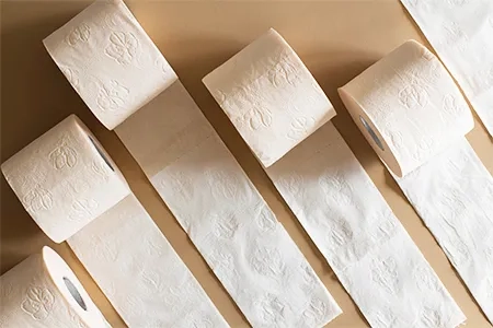 What Is the Circumference of a Toilet Paper Tube