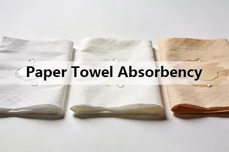 Why Paper Towel Absorbency Matters