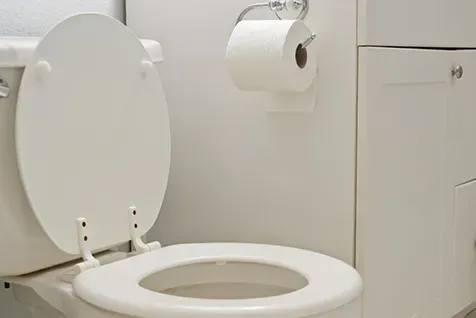 eco friendly toilet paper