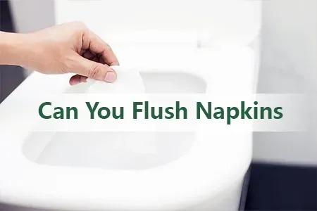 Can You Flush Napkins