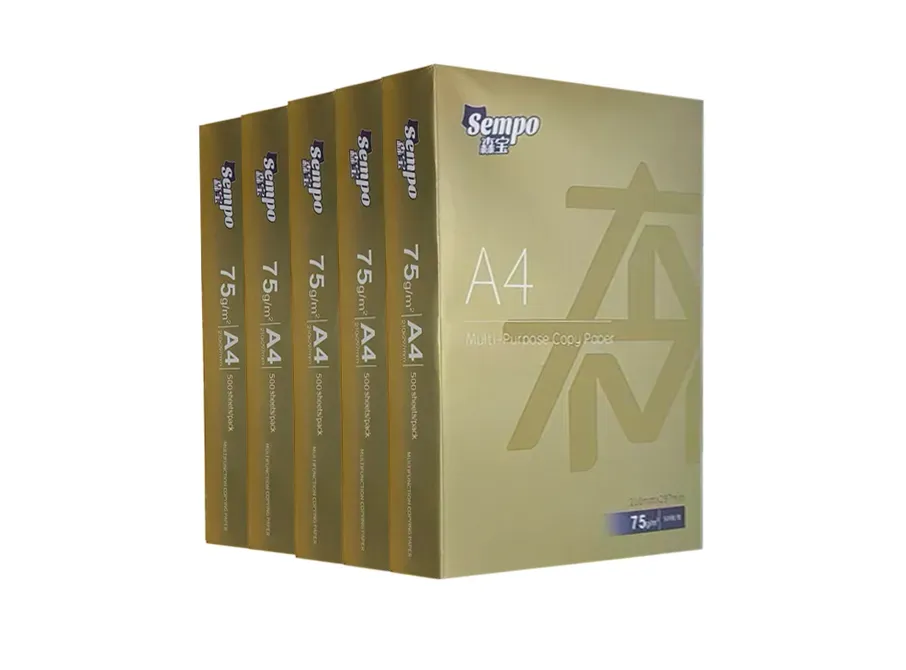 A4 Printer Paper 2500 Sheets