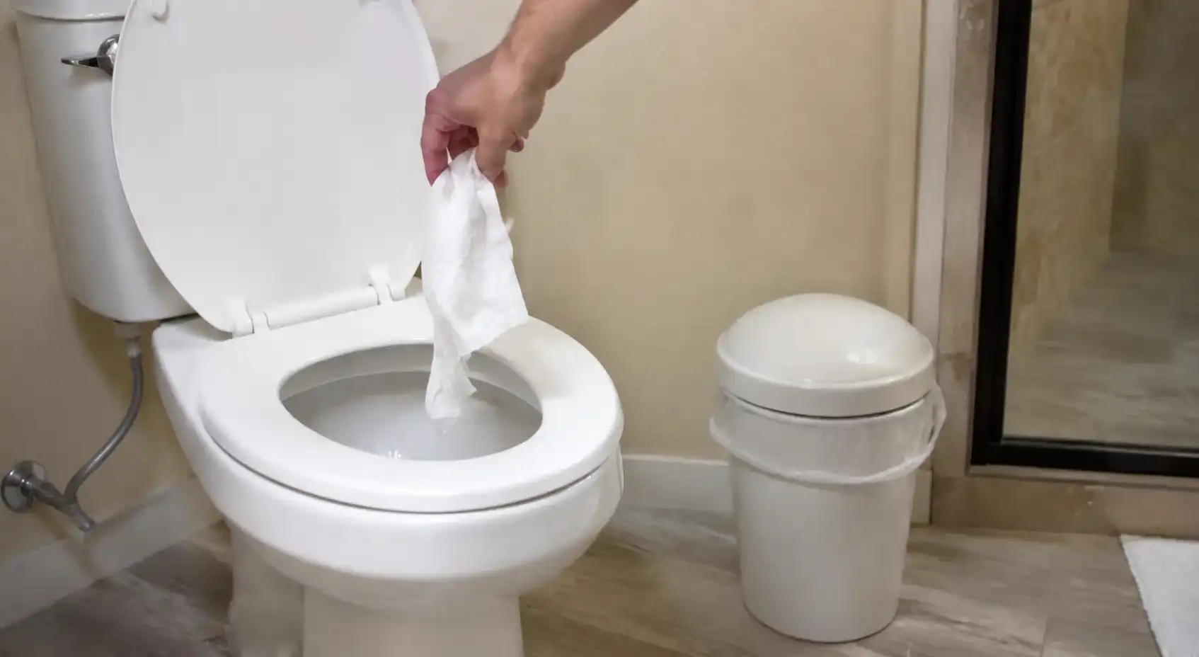 Should You Flush or Throw Away Toilet Paper