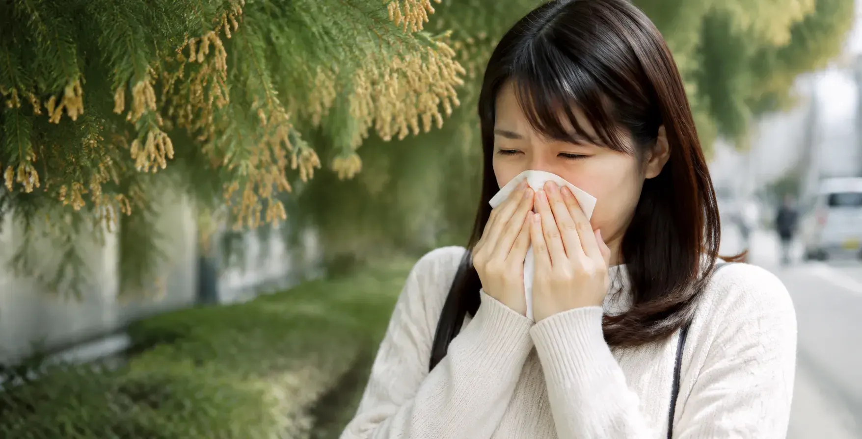 Why Facial Tissue Use Is So High In Japan
