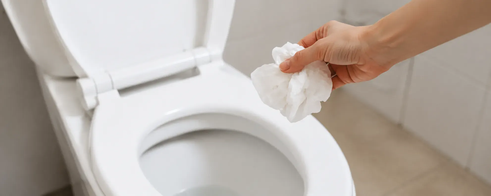 Why You Cannot Flush Paper Towels